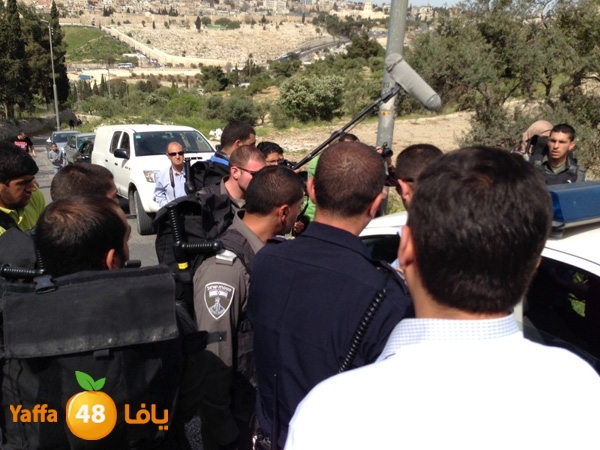 qudszra3aztoon330 (3).JPG